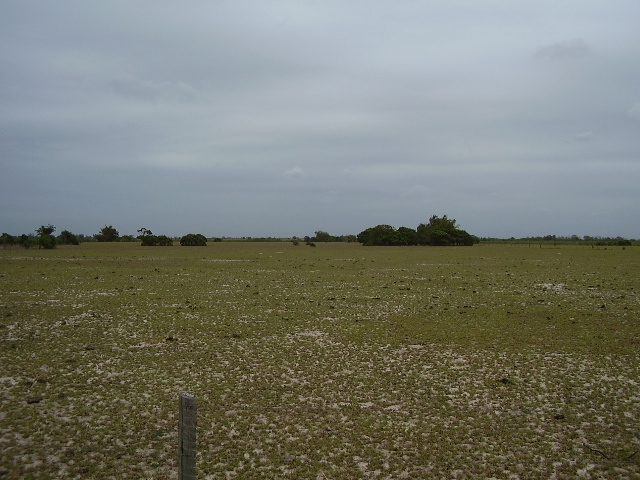 ÁREA DE 103.000,00 M² EM CAMPO DA PRAIA, NA ESTRADA DO PORTO DO AÇÚ