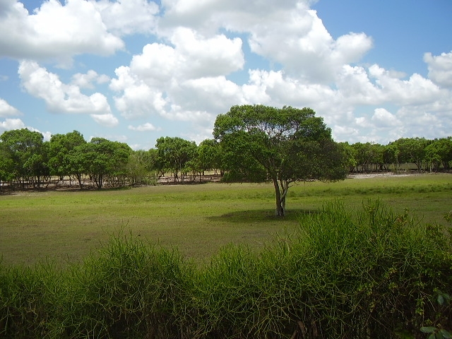 ÁREA COMERCIAL DE 435.000,00 M² NA ESTRADA INDO PARA O PORTO DO AÇU (RUA NOVA)