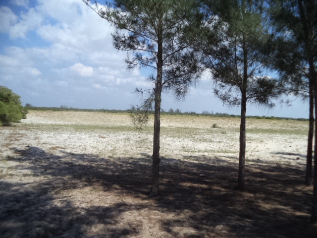 ÁREA DE 484.000,00 M² NO CENTRO DO AÇÚ À 1,8 Km do Porto do Açú