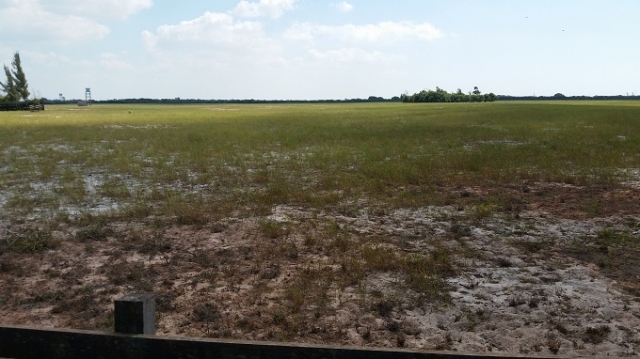 ÁREA DE 1.500.000,00 M² NA REGIÃO DO PORTO DO AÇÚ À aproximadamente 6 km do Porto do Açú