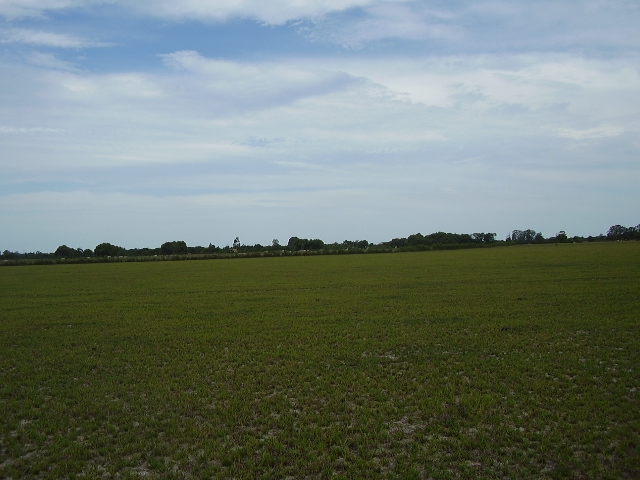 ÁREA DE 580.800,00 M² NA ESTRADA INDO PARA O PORTO DO AÇU EM RUA NOVA