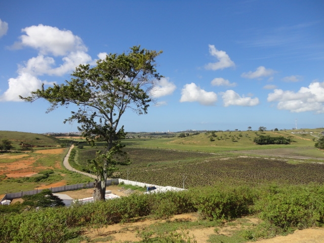 ÁREA DE 346.060,00 M² NA LOCALIDADE DE VIRGEM SANTA Potencial para extração de saibro. Licenças OK.