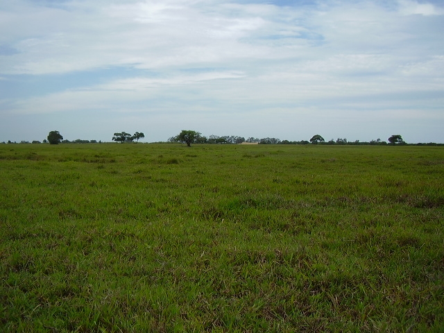 ÁREA COMERCIAL DE 435.000,00 M² NA ESTRADA INDO PARA O PORTO DO AÇU (RUA NOVA)