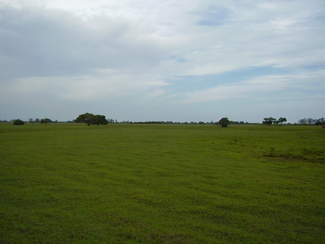 ÁREA COMERCIAL DE 435.000,00 M² NA ESTRADA INDO PARA O PORTO DO AÇU (RUA NOVA)