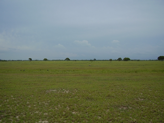 ÁREA COMERCIAL DE 435.000,00 M² NA ESTRADA INDO PARA O PORTO DO AÇU (RUA NOVA)