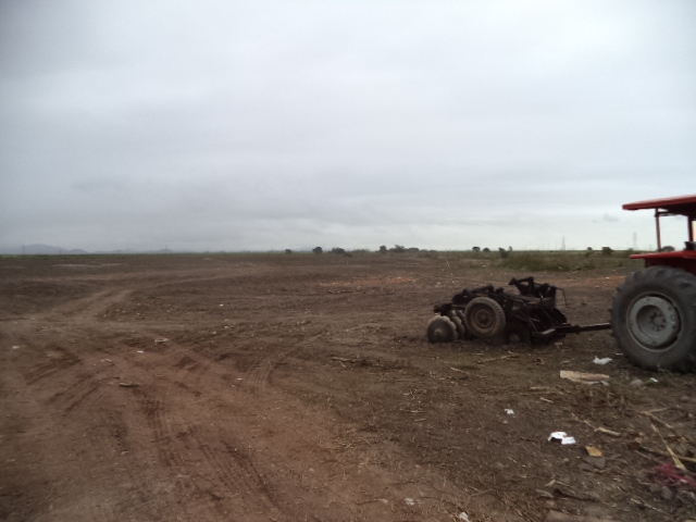 ÁREA DE 188.186,00 M² (3,88 ALQUEIRES) NA ESTRADA DO BREJO GRANDE (ESTRADA DO AEROPORTO).