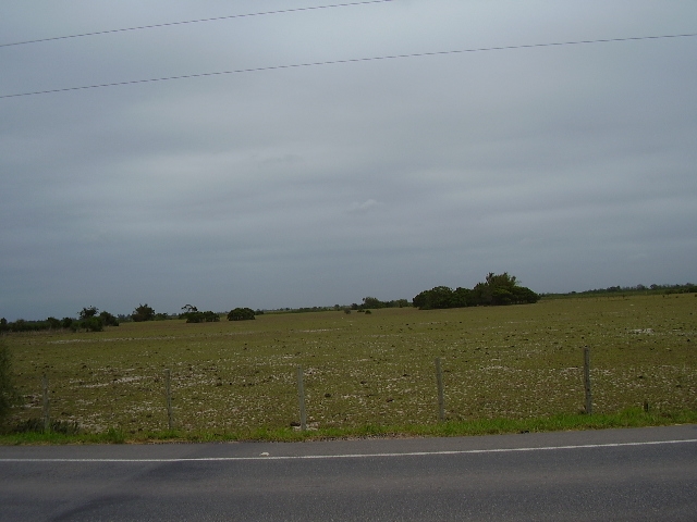 ÁREA DE 103.000,00 M² EM CAMPO DA PRAIA, NA ESTRADA DO PORTO DO AÇÚ