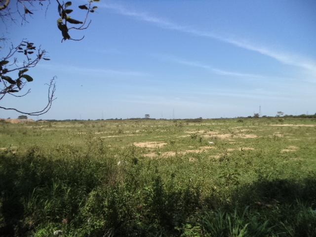 ÁREA DE APROX. 156.000,00 M² NA RJ-216 (ESTRADA DO AÇÚCAR – RODOVIA CAMPOS X FAROL), EM GOYTACAZES