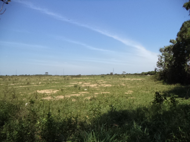 ÁREA DE APROX. 156.000,00 M² NA RJ-216 (ESTRADA DO AÇÚCAR – RODOVIA CAMPOS X FAROL), EM GOYTACAZES