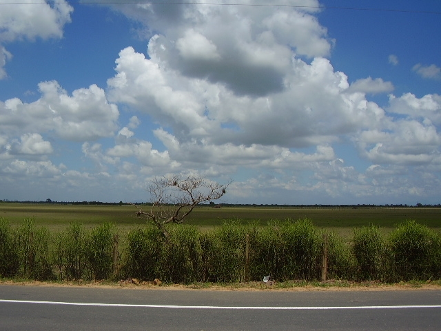 ÁREA DE 580.800,00 M² NA ESTRADA INDO PARA O PORTO DO AÇU EM RUA NOVA