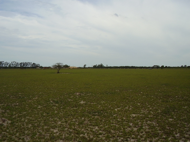 ÁREA COMERCIAL DE 435.000,00 M² NA ESTRADA INDO PARA O PORTO DO AÇU (RUA NOVA)