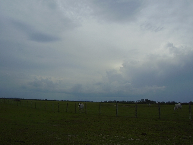 ÁREA DE 580.800,00 M² NA ESTRADA INDO PARA O PORTO DO AÇU EM RUA NOVA