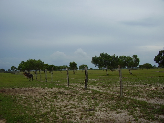 ÁREA COMERCIAL DE 435.000,00 M² NA ESTRADA INDO PARA O PORTO DO AÇU (RUA NOVA)