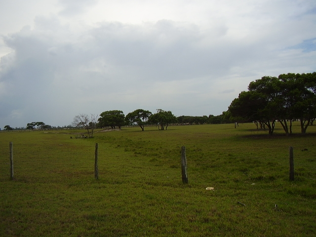 ÁREA COMERCIAL DE 435.000,00 M² NA ESTRADA INDO PARA O PORTO DO AÇU (RUA NOVA)
