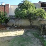 DSC03420