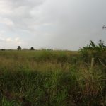 DSC03464