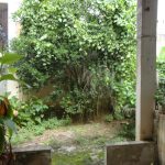 DSC03481