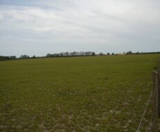 ÁREA COMERCIAL DE 580.800,00 M² NA ESTRADA DE RUA NOVA - PORTO DO AÇU - SÃO JOÃO DA BARRA