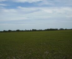 ÁREA COMERCIAL DE 580.800,00 M² NA ESTRADA DE RUA NOVA - PORTO DO AÇU - SÃO JOÃO DA BARRA