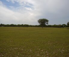 ÁREA COMERCIAL DE 580.800,00 M² NA ESTRADA DE RUA NOVA - PORTO DO AÇU - SÃO JOÃO DA BARRA