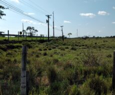 ÁREA DE 105.000,00 M² NA BR 101 (CAMPOS X RIO)