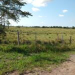 ÁREA DE 105.000,00 M² NA BR 101 (CAMPOS X RIO)