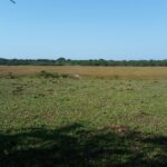 FAZENDA DE 30,00 ALQUEIRES EM QUISSAMÃ