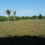 FAZENDA DE 30,00 ALQUEIRES EM QUISSAMÃ