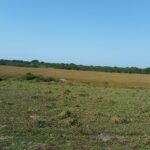 FAZENDA DE 30,00 ALQUEIRES EM QUISSAMÃ