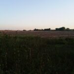 EXCELENTES ÁREAS DE 70.637,00 M² EM TRAVESSÃO DE CAMPOS