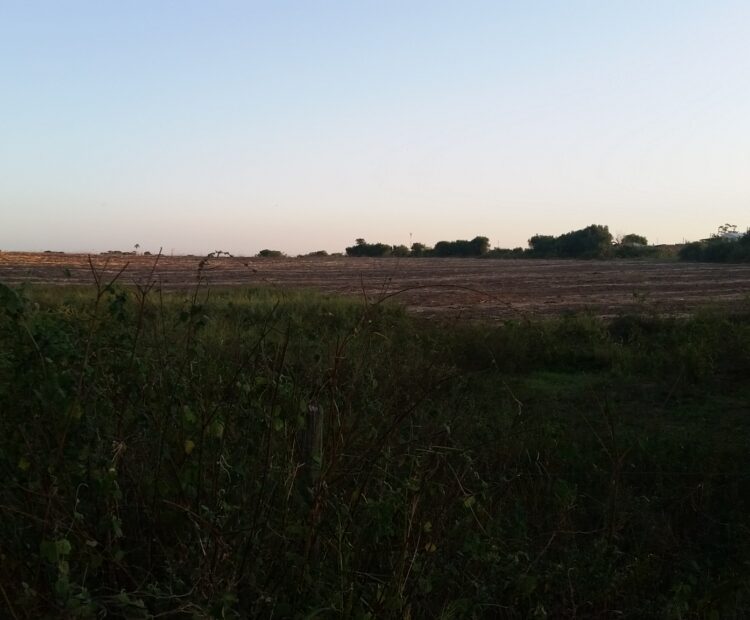 EXCELENTES ÁREAS DE 70.637,00 M² EM TRAVESSÃO DE CAMPOS