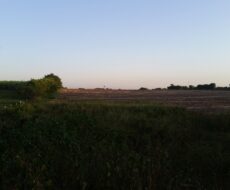 EXCELENTES ÁREAS DE 70.637,00 M² EM TRAVESSÃO DE CAMPOS