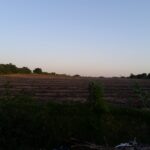 EXCELENTES ÁREAS DE 70.637,00 M² EM TRAVESSÃO DE CAMPOS