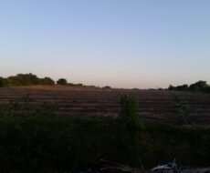 EXCELENTES ÁREAS DE 70.637,00 M² EM TRAVESSÃO DE CAMPOS