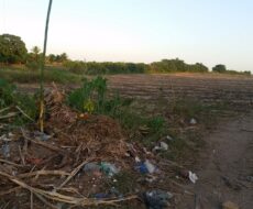 EXCELENTES ÁREAS DE 70.637,00 M² EM TRAVESSÃO DE CAMPOS