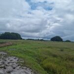 FAZENDA DE 90 ALQUEIRES EM FLEXEIRAS, QUISSAMÃ.