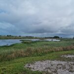 FAZENDA DE 90 ALQUEIRES EM FLEXEIRAS, QUISSAMÃ.