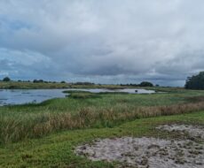 FAZENDA DE 90 ALQUEIRES EM FLEXEIRAS, QUISSAMÃ.