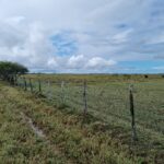 FAZENDA DE 90 ALQUEIRES EM FLEXEIRAS, QUISSAMÃ.