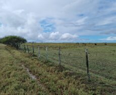 FAZENDA DE 90 ALQUEIRES EM FLEXEIRAS, QUISSAMÃ.