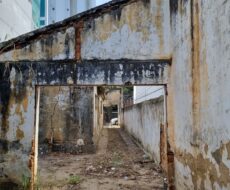 CASA NA RUA NA VOLUNTÁRIOS DA PÁTRIA Nº 518, PELINCA.