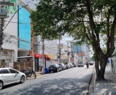 CASA NA RUA NA VOLUNTÁRIOS DA PÁTRIA Nº 518, PELINCA.