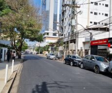 CASA NA RUA NA VOLUNTÁRIOS DA PÁTRIA Nº 518, PELINCA.