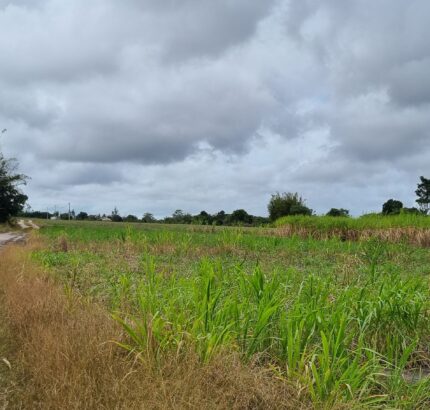 ÁREA DE 269.028,54 M² NA RJ-240 (ESTRADA DO PORTO DO AÇU), EM CAMPO DA PRAIA.
