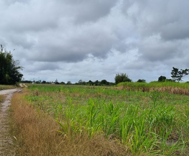 ÁREA DE 269.028,54 M² NA RJ-240 (ESTRADA DO PORTO DO AÇU), EM CAMPO DA PRAIA.