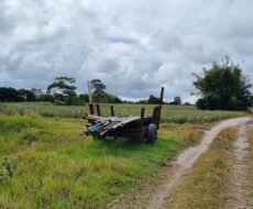 ÁREA DE 269.028,54 M² NA RJ-240 (ESTRADA DO PORTO DO AÇU), EM CAMPO DA PRAIA.