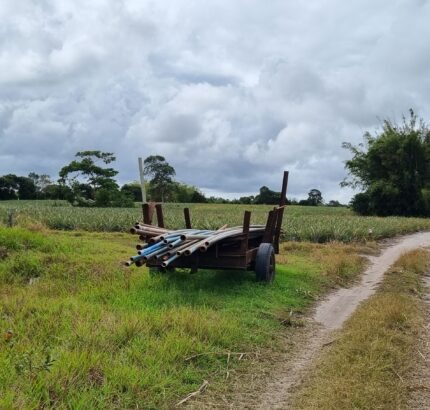 ÁREA DE 269.028,54 M² NA RJ-240 (ESTRADA DO PORTO DO AÇU), EM CAMPO DA PRAIA.