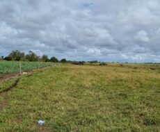 ÁREA DE 269.028,54 M² NA RJ-240 (ESTRADA DO PORTO DO AÇU), EM CAMPO DA PRAIA.