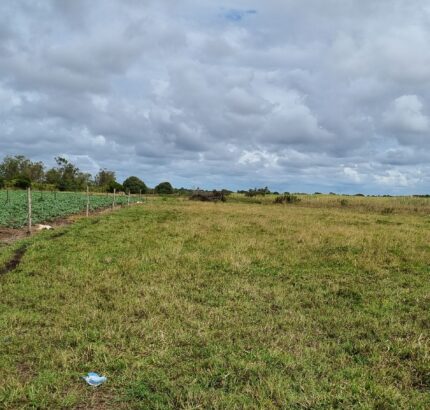 ÁREA DE 269.028,54 M² NA RJ-240 (ESTRADA DO PORTO DO AÇU), EM CAMPO DA PRAIA.
