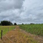 ÁREA DE 269.028,54 M² NA RJ-240 (ESTRADA DO PORTO DO AÇU), EM CAMPO DA PRAIA.